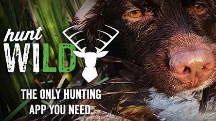 Hunt Wild Wisconsin application banner